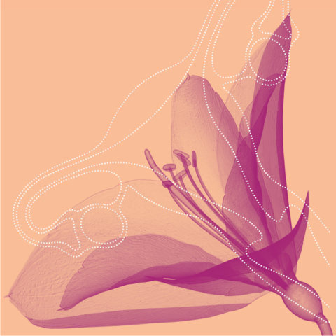 ESMO-Gynaecological-Cancers-Virtual-Congress-2022-1000x1000